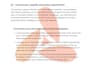 write your query letter, synopsis, and book proposal for literary agents